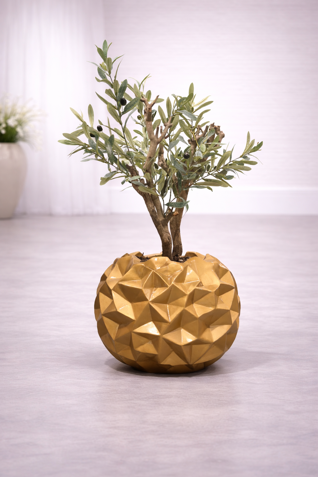 OM613 Gold Olijfboom