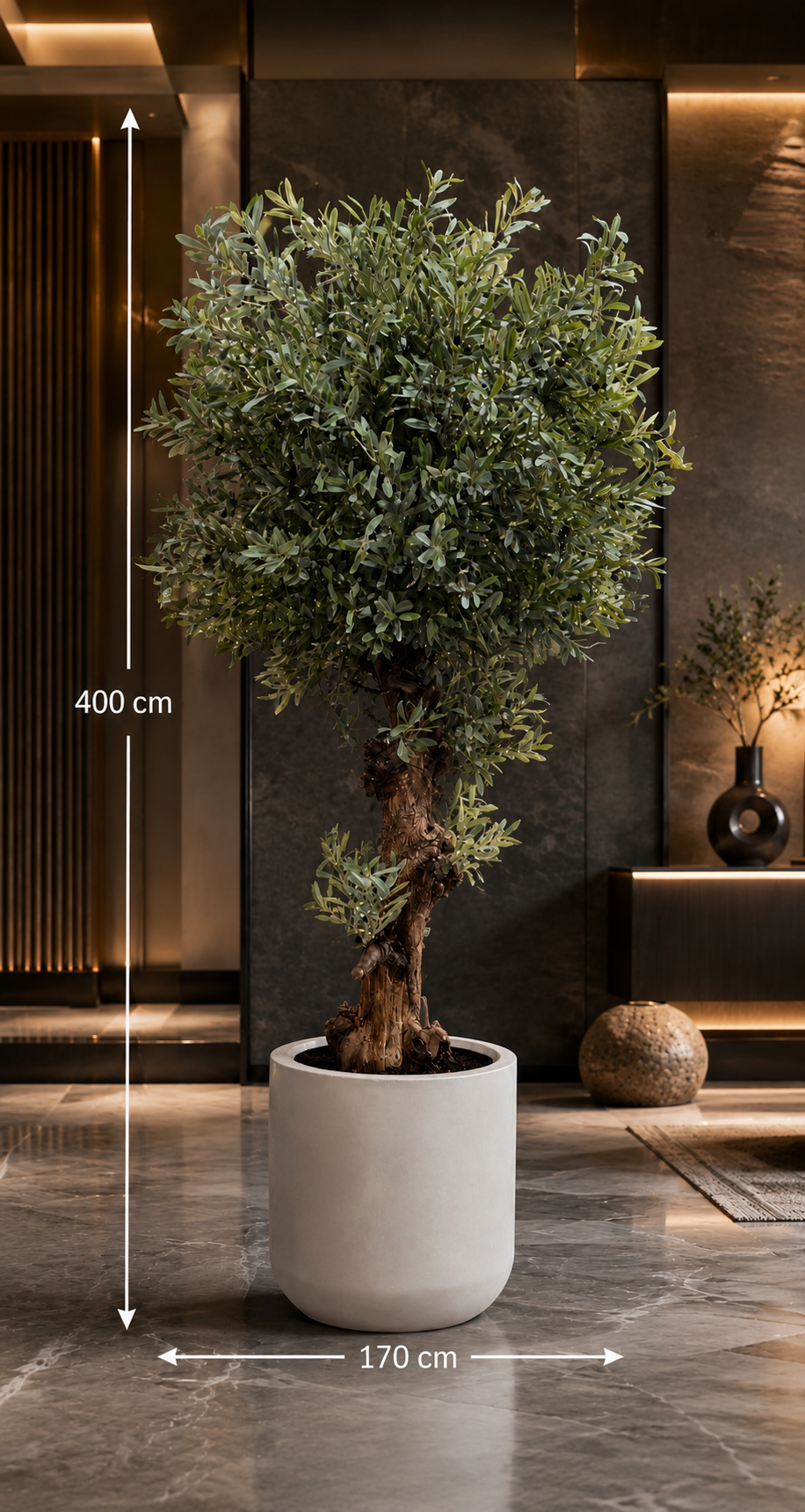 Olive Tree