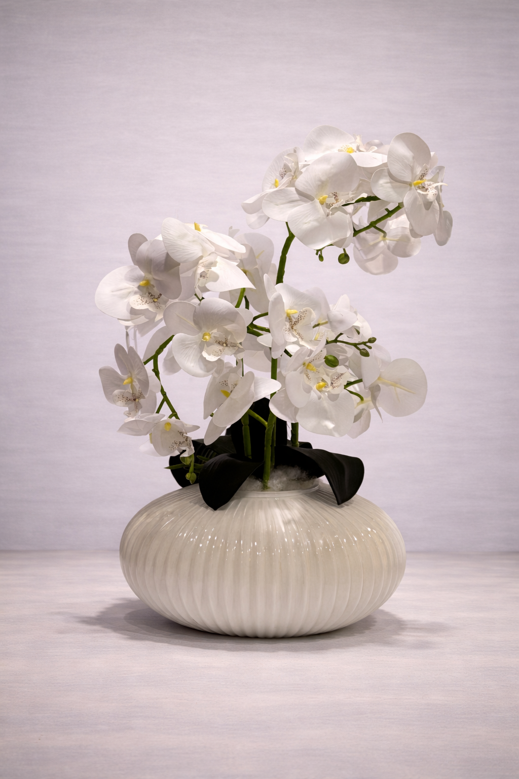 604-3 | 604-4 Witte Orchidee Wit